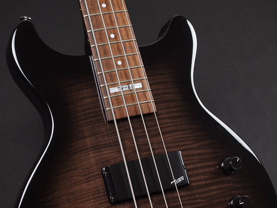 Greco TV-800SE 【飯田成一 Signature Model】 楽器/器材 ベース scc 