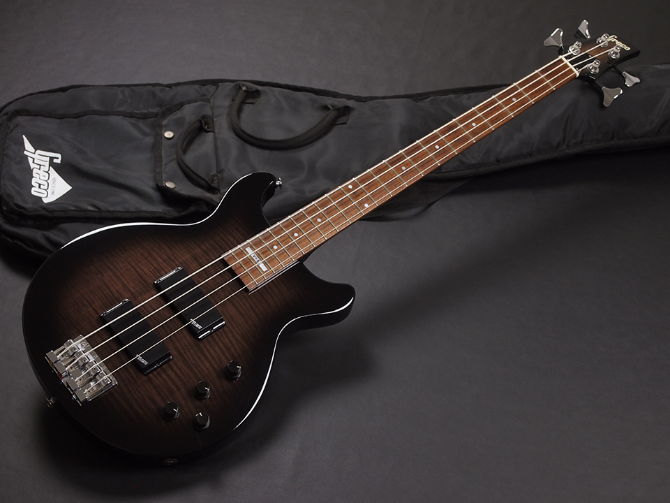 Greco TV-800SE 【飯田成一 Signature Model】 楽器/器材 ベース scc 