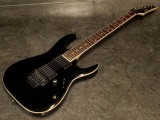 RG　J-CUSTOM RGD S SV SA FR ARZ DN X GIO FUJIGEN フジゲン　