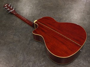s.ヤイリ　k. 矢入　エレアコ　初心者　　