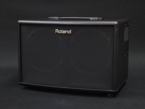 エレアコ　アンプ　アコースティック　aer aad bingo pjb cub  vox ac-90 ac-33 rw