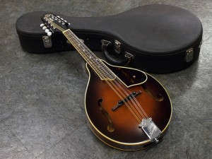 春日　かすが　BLUE GRASS ブルーグラス　GIBSON EPIPHONE MANNDORIN MANDOLINE