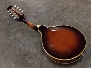 春日　かすが　BLUE GRASS ブルーグラス　GIBSON EPIPHONE MANNDORIN MANDOLINE