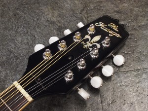 春日　かすが　BLUE GRASS ブルーグラス　GIBSON EPIPHONE MANNDORIN MANDOLINE