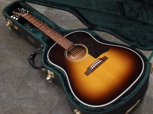 ヘッドウェイ deviser ディバイザー momose bacchus gibson martin j-45 dove