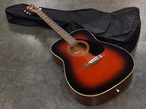 ヤマハ FG FS LL APX CPX AC taylor martin gibson morris headway