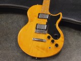ギブソンepiphone les paul sg flying v explorer rd Marauder