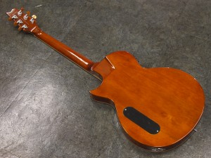esp edwards grass roots godin cooder Multiac acs a6 taylor