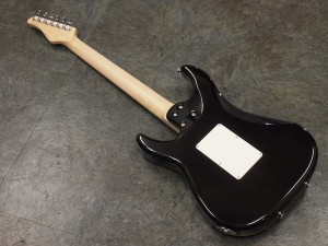  SCHECTER SD-2-24-BW AQB/M 