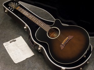 タカミネ　エレアコ　 121　100　シリーズ　SERIES PTU　エレアコ　初心者　JAPAN 国産　日本製　高峰　