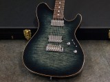 スギ 杉本眞 FUJIGEN フジゲン 富士弦 momose deviser sh telecaster les pau