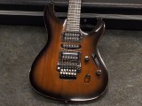 アイバニーズ イバニーズ 星野楽器 RG S series　フジゲン　fgn fujigen s5570 m 5520