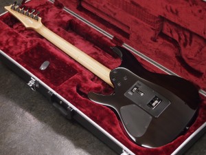 アイバニーズ イバニーズ 星野楽器 RG S series　フジゲン　fgn fujigen s5570 m 5520 