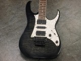 アイバニーズ イバニーズ S fujigen　FGN RG 350 370 421 初心者　入門　ビギナー