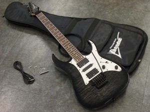 アイバニーズ イバニーズ  S fujigen　FGN  RG 350 370 421 初心者　入門　ビギナー