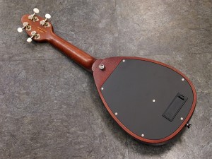 ボックス　ロック　ウクレレ　アンプ ukulele エレキ　エレウク　エレアコ　初心者　スピーカー　内蔵　搭載　
