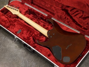 アイバニーズ イバニーズ RG S RGD ARZ fujigen　FGN　プレステージ RG652AHM RG752