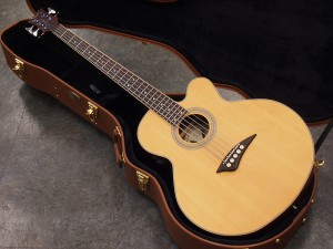 ディーン　エレアコ ベース　アコースティック ベース　5弦　5st セミアコ　semi aco fender aria