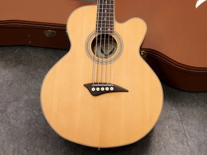 ディーン　エレアコ ベース　アコースティック ベース　5弦　5st セミアコ　semi aco fender aria