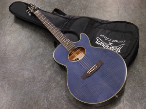ピアレス　エレアコ　初心者　女性　子供　ビギナー　小学生　中学生　入門　フォーク　アンプ　薄型　小型　小ぶり　ブルー