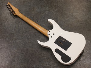 アイバニーズ イバニーズ rg rga s fireman iceman ポール ギルバート jackson esp