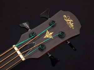 アリア　アコースティックベース　フレットレスベース　acoustic bass アコベ　fletless