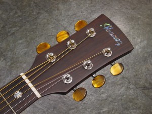 アイバニーズ　アコースティック　フォーク　ギター　初心者　入門　ビギナー　女子　女性　子供　キッズ　小型　ミニ　スモール