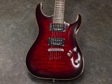 ワッシュバーン esp schetter jackson ibanez n4 n2 nuno horizon hellr