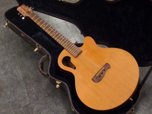 タコマ Martin gibson ovation taylor 314 d-28 パプース チーフ ECR