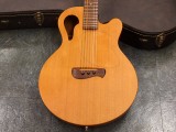 タコマ Martin gibson ovation taylor 314 d-28 パプース チーフ ECR