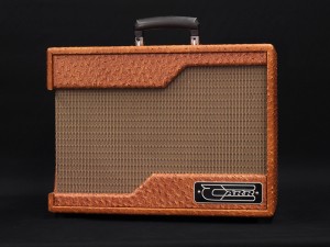 カー suhr vox fender champ princeton champion victoria pierson