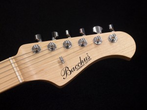 バッカス　タクティックス　tactics T マスター　テレキャスター　TL TELECASTER