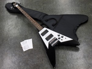 エドワーズ esp grass roots gibson flying V explorer les paul sg