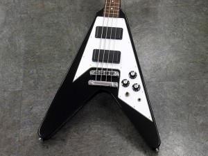 エドワーズ esp grass roots gibson flying V explorer les paul sg