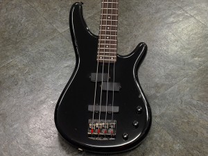 アイバニーズ イバニーズ btb warwick spector fernandes 初心者 コンパクト