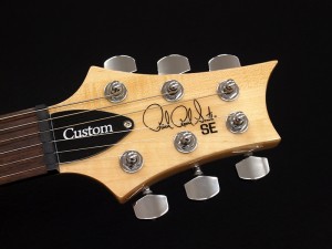 ポールリードスミス gibson fender les paul strat standard mccarty