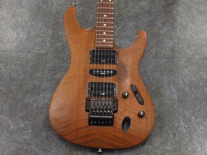 アイバニーズ イバニーズ  S fujigen　FGN  RG 350 370 421 初心者　入門　ビギナー