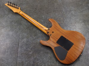 アイバニーズ イバニーズ  S fujigen　FGN  RG 350 370 421 初心者　入門　ビギナー