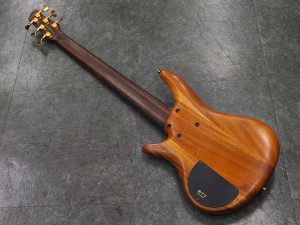 アイバニーズ イバニーズ warwick spector streamer btb fernandes yamaha