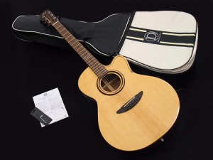 ディーシーティー dream comes true selena martin gibson taylor 114 214 j-45 d-28 j-185 314 j-200  