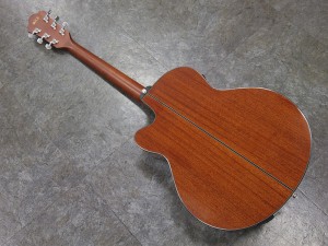 アイバニーズ イバニーズ フジゲン fujigen 星野楽器 thermo aged artwood aew performance aeg taylor yamaha cpx apx