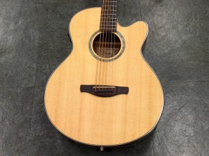 アイバニーズ イバニーズ フジゲン fujigen 星野楽器 thermo aged artwood aew performance aeg taylor yamaha cpx apx