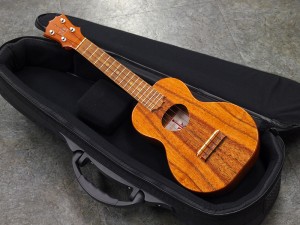 コアロハ ソプラノ ロングネック コンサート concert エクストラ hawaiian koa ハワイアンコア テナー famous dct kala