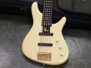 スギ 杉本眞 フジゲン fujigen fgn ibanez nb4 warwick spector momose deviser 富士弦