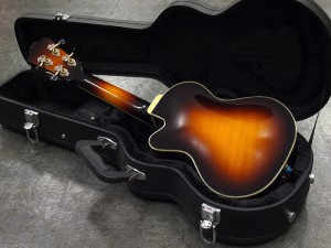 イーストマン famous gibson martin D'angelico kala famous dct 