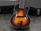 イーストマン famous gibson martin D'angelico kala famous dct