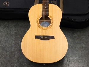 ゴダン ゴディン ゴーディン multiac acs duet yamaha art lutherie norman la patrie patrick simon &