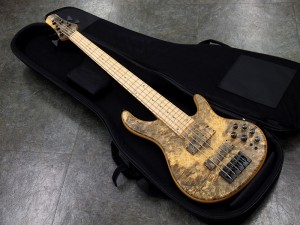 STR Guitars　LS549 #453