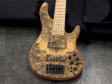 STR Guitars　LS549 #453