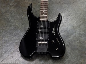 スタインバーガー ステインバーガー strandberg synapse demon zt-3 gt-pro xt-2